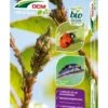 Lieveheersbeestjes Larven Tegen Bladluizen (DCM Adali-Guard®) -Directplant Winkel 5413448123852